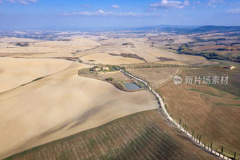 蜿蜒的道路与柏树，Val D'asso，锡耶纳，托斯卡纳，意大利